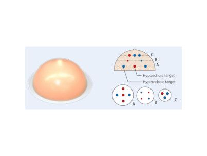 Jeu de deux fantômes de sein 2 fantômes opaques pour simulation de biopsie sous échographie