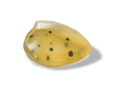 Breast biopsy phantom ST for simulation under stereotactic