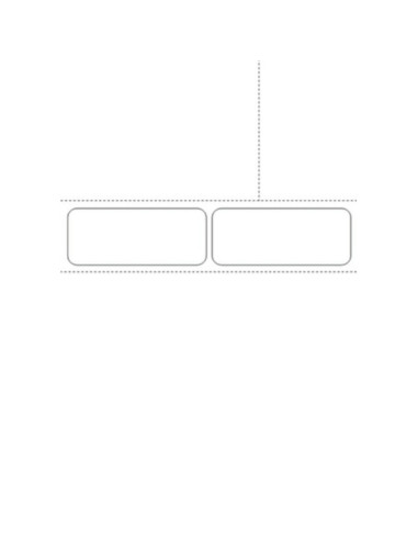1000 Fiches suivi de patient UNIVERSELLE Sesam A4 - LWU3 739 - 90g 2 étiquettes 98x40